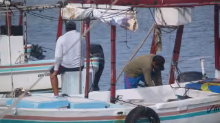 Pescador de Chabihau afirma que han estado capturando el chac-chi que sirve para filete y canané