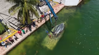 Inicia el retiro de las 14 embarcaciones abandonadas de la laguna Nichupté tras años de reclamos