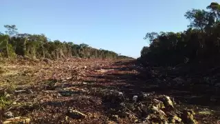 Algunos pertenecen al municipio de Escárcega, en el estado de Campeche