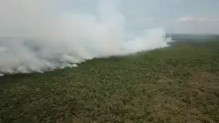 El incendio forestal avanzó en la zona selvática de Uxuxubi, ubicada en el Sur de Playa del Carmen, donde la Conafor y bomberos combaten el fuego