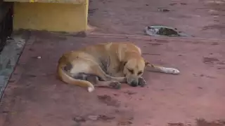 Colonos del municipio afirmaron que hace falta más vigilancia en el poblado