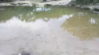 Contaminación de cenotes es un peligro para la salud pública en Playa del Carmen