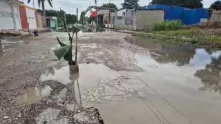 Vecinos colocan “florero” para alertar bache profundo en la calle 17 de Champotón