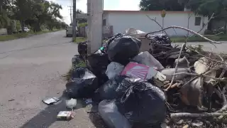 En toda la ciudad se generan entre 70 a 90 toneladas diarias