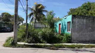 Foto: Irene Barradas