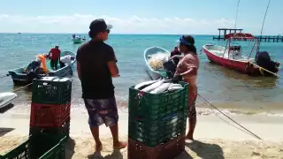 Son unas 10 embarcaciones las que saldrán diariamente con aproximadamente 50 pescadores