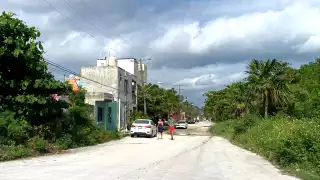 Quintana Roo perdió la mitad de su manglar en solo 30 años; más de 1300 hectáreas fueron arrasadas