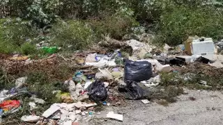 Personal de obras públicas tiene la obligación de realizar la limpieza de parque y jardines