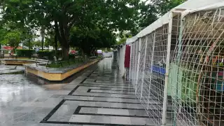 Foto: Irene Barradas