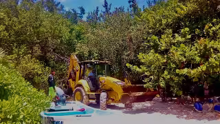 Activistas denuncian daños a manglar por presunta expansión del hotel Paradisus en Playa del Carmen