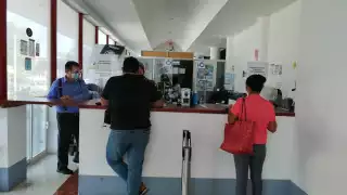 Foto: Irene Barradas