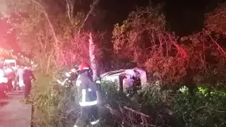 Conductor se estampa contra manglares de la Zona Hotelera de Cancún