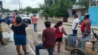 De acuerdo con estudios, los cenotes más contaminados se encuentran cerca de granjas porcícolas