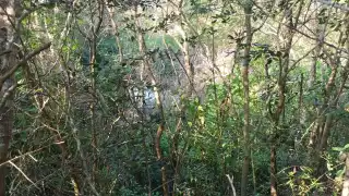 Las sascaberas surgen en las excavaciones para sacar material de sascan