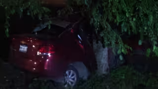 El vehículo se impactó contra un árbol tras perder el control, presuntamente por exceso de velocidad
