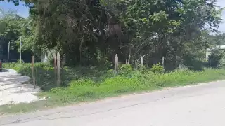 Fueron tres hombres que aun no han sido identificados