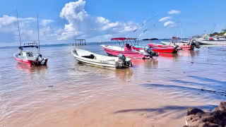 Turistas cancelan recorridos en Playa del Carmen por el lodo y la falta de infraestructura