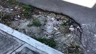 Señalan abandono de colonia Plutarco Elías Calles, Quintana Roo