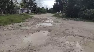 Estas condiciones perjudican severamente a las familias que viven en esta zona de Felipe Carrillo Puerto