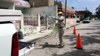 FOTO: Víctor Ávalos