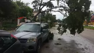 FOTOS: Rafael García