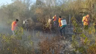 El fuego fue controlado por personal de Protección Civil