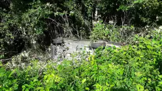 Conductor se vuelca y abandona su vehículo en la carretera Felipe Carillo Puerto