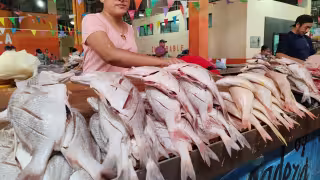 Venta de pescado cae 50% en Cuaresma 2026 en Campeche; atribuyen desplome a restricciones en Ko'ox