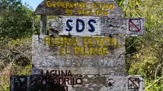 El presidente de AMPI reconoció el daño que se realiza en Sisal