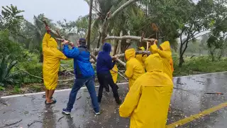 En algunos municipios se registra el corte en el servicio de energía eléctrica. Foto: Mauricio Vila Dosal