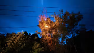 Vecinos de UhMay, Felipe Carrillo Puerto alertan por corto en red eléctrica y cables incendiados