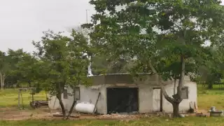 Los vecinos comenzaron a ver que salía humo negro de la vivienda, el cual despedía un hedor insoportable