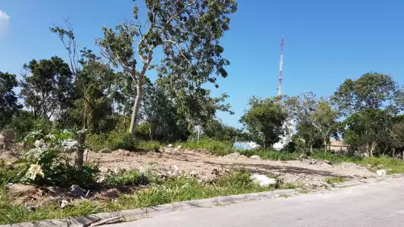 René Medrano Río indicó que la invasión de predios municipales pone en riesgo el desarrollo de Puerto Aventuras René Medrano Río indicó que la invasión de predios municipales pone en riesgo el desarrollo de Puerto Aventuras