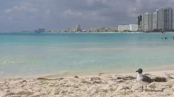 Se espera una temperatura máxima de 29 C°