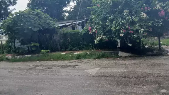 Casa es vaciada en la colonia Fátima; delincuentes se llevan hasta al perrito Casa es vaciada en la colonia Fátima; delincuentes se llevan hasta al perrito