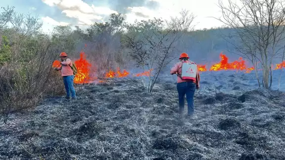 Por más de 12 horas las brigadas trataron de apagar el siniestro