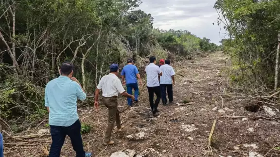El empresario no contaba con permisos, ni estudio del impacto ambiental El empresario no contaba con permisos, ni estudio del impacto ambiental