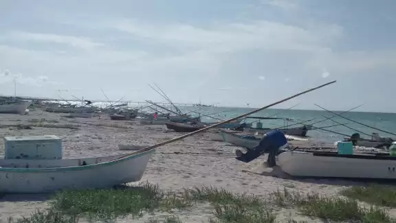 A los hombres de mar les preocupa que las condiciones climatológicas empeoren la captura de pulpo A los hombres de mar les preocupa que las condiciones climatológicas empeoren la captura de pulpo