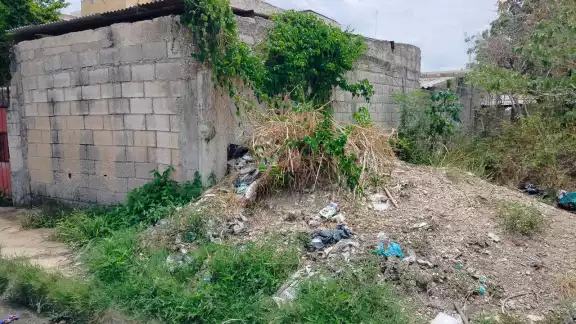 Abandono y escombros amenazan vivienda de adulta mayor en la colonia Esperanza Abandono y escombros amenazan vivienda de adulta mayor en la colonia Esperanza