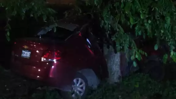 El vehículo se impactó contra un árbol tras perder el control, presuntamente por exceso de velocidad El vehículo se impactó contra un árbol tras perder el control, presuntamente por exceso de velocidad