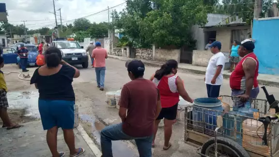 De acuerdo con estudios, los cenotes más contaminados se encuentran cerca de granjas porcícolas De acuerdo con estudios, los cenotes más contaminados se encuentran cerca de granjas porcícolas