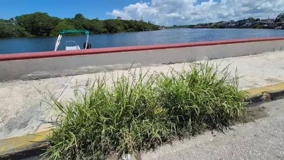 Maleza y basura obstruyen desfogues del malecón en Champotón y elevan riesgo de inundaciones