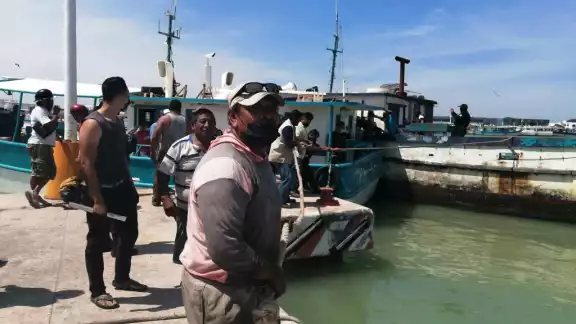 El barco pertenece a la flota de la empresa "Pulmeros" El barco pertenece a la flota de la empresa "Pulmeros"