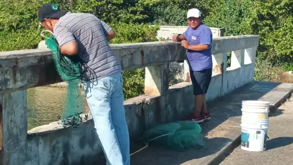 Jorge Briceño mencionó que hay personas que capturan el pescado cuando está pequeño y no lo regresan de nuevo al agua Jorge Briceño mencionó que hay personas que capturan el pescado cuando está pequeño y no lo regresan de nuevo al agua