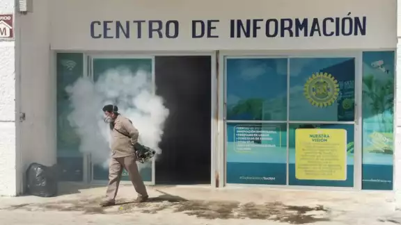 Los operativos se realizan en más de una ocasión por la alta proliferación del insecto