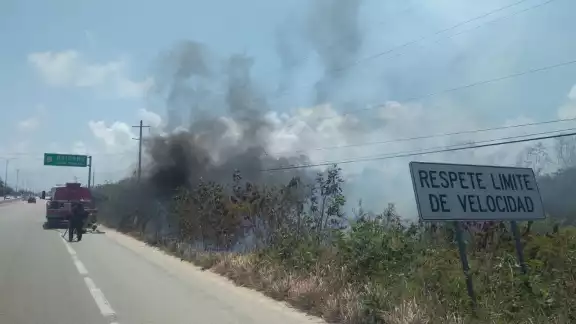 Se desconocen las causas del incendio en Puerto Aventuras