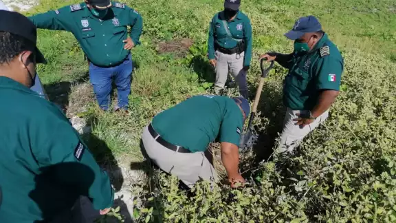 La dueña del predio podría ser sancionada por la Semarnat La dueña del predio podría ser sancionada por la Semarnat