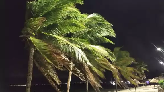 FOTO: Jazmín Ramos