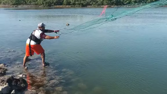 Los cordeles con anzuelo son poco útiles para esta especie, por lo que usan pequeñas redes con plomo para su captura