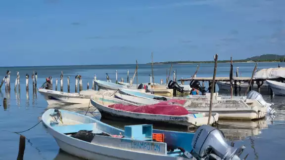 Algunos hombres de mar advierten que el oficio está a punto de desaparecer ante la depredación Algunos hombres de mar advierten que el oficio está a punto de desaparecer ante la depredación